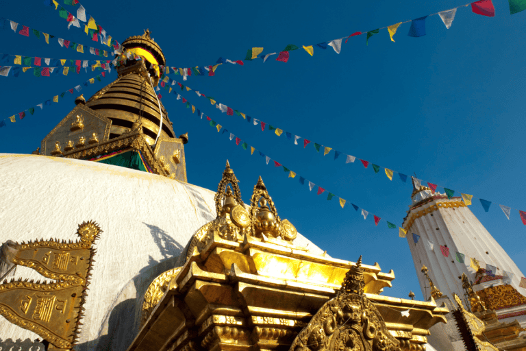 Why Travel Insurance is Essential for Your Next Trip Abroad – SafetyWing