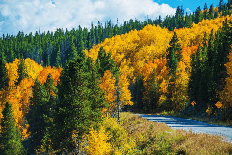 Fall Hiking Gear Guide: What to Wear and How to Stay Warm!