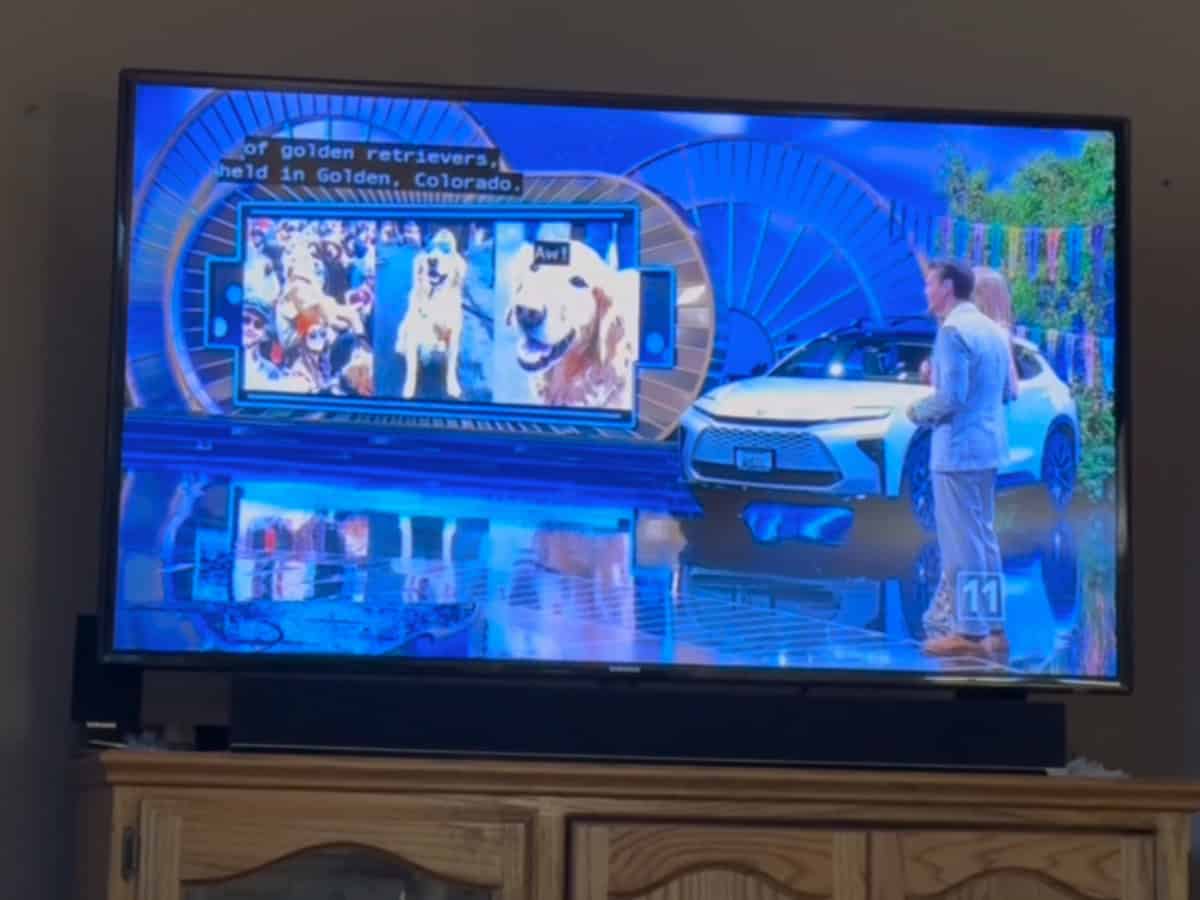 Television screen showing Goldens in Golden photos during a Wheel of Fortune segment featuring the event.
