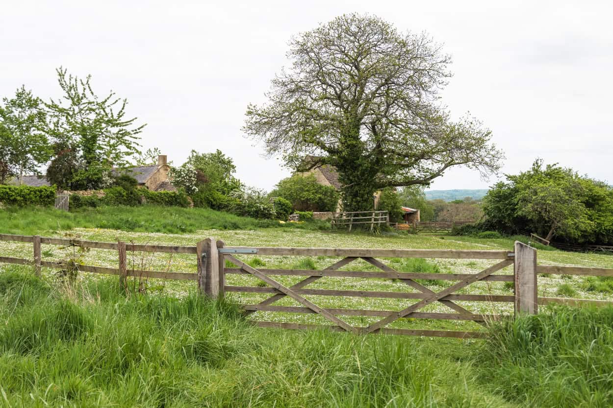 Large tree behind a field gate walking the Cotswolds from Moreton-in-Marsh to Stow-on-the-Wold