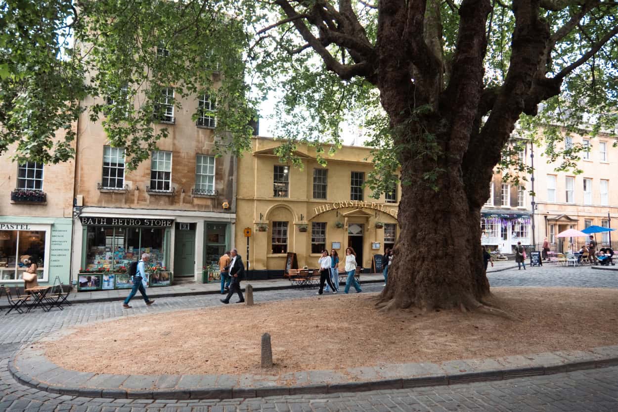 City square with tree near Bath Abbey walking the Cotswolds in Bath