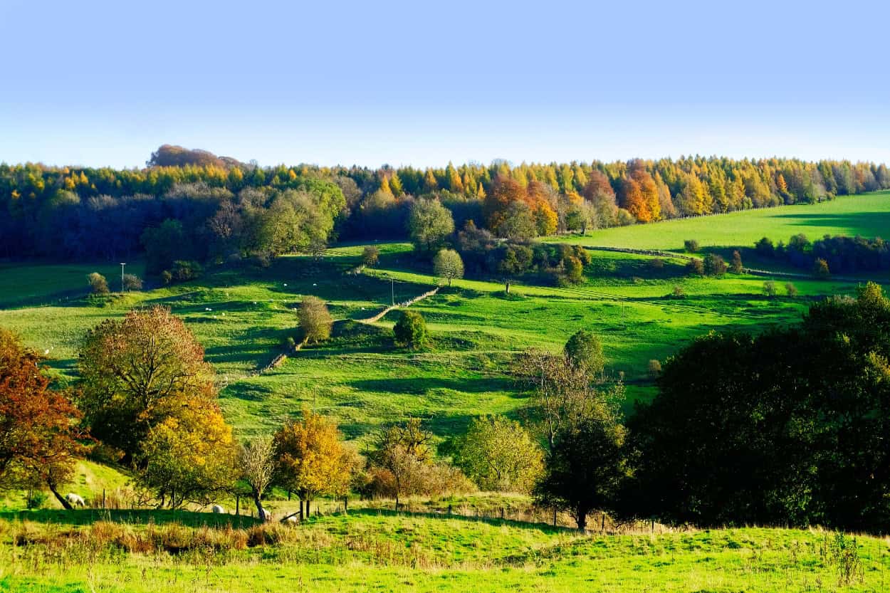 Cotswolds countryside in autumn with turning leaves walking the Cotswolds England