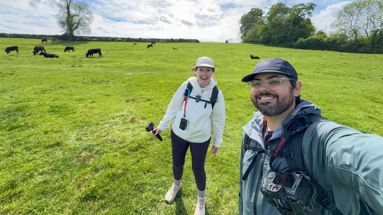 Couple walking the Cotswolds standing in a field with cows England