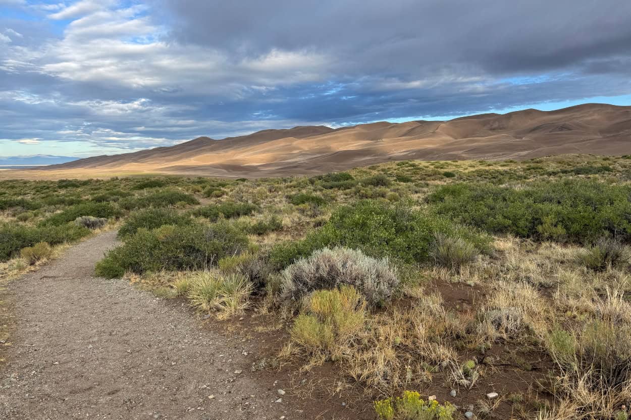 Trail from Pinyon Flats Campground to the dunes at Great Sand Dunes National Park