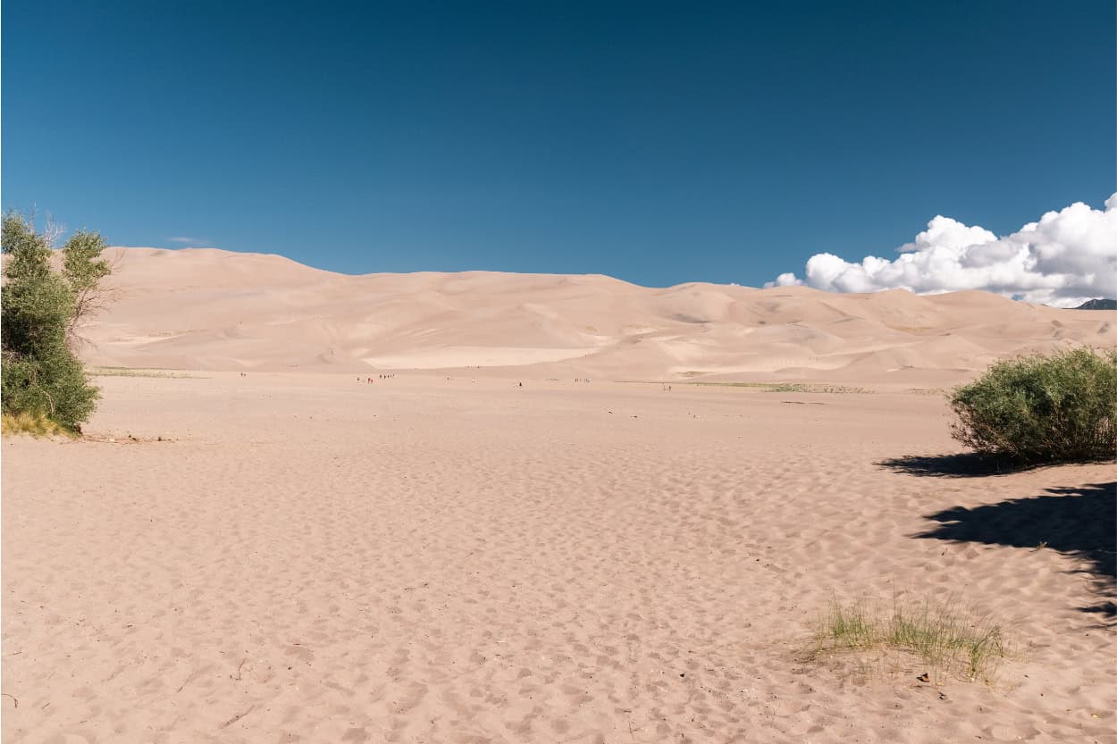View of Great Sand Dunes National Park from the picnic area